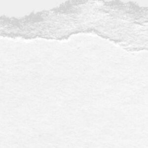 Women’s Clothing Lot